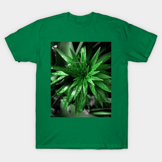 Green Leaves T-Shirt by csturman